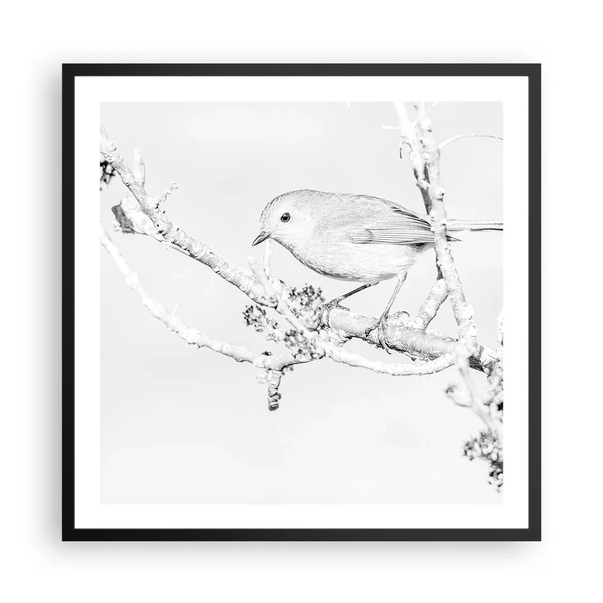 Affisch i svart ram - Vintermorgon - 60x60 cm