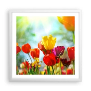 Affisch i vit ram - Solens alla färger - 50x50 cm