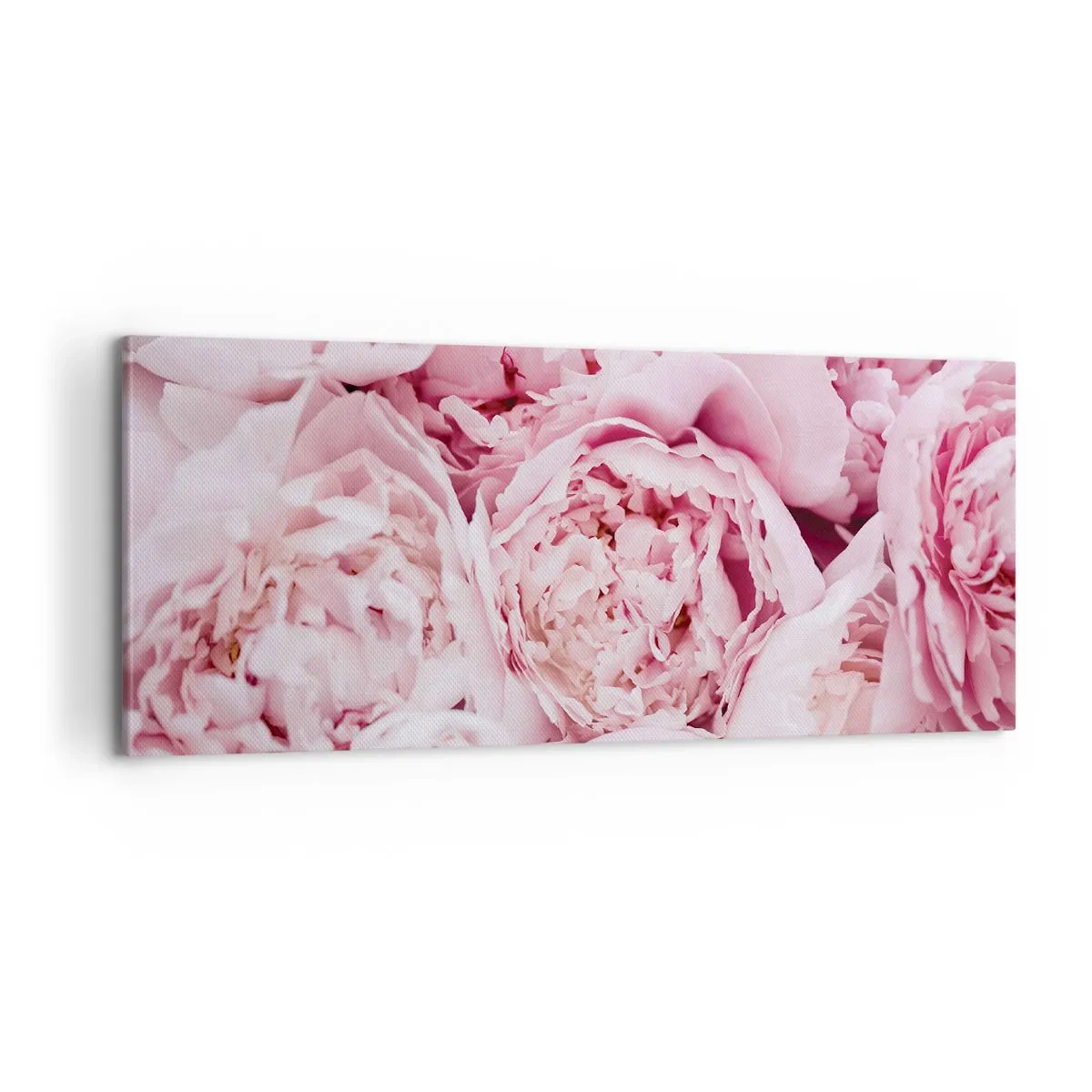 Canvastavla - Bild på duk - Hopklämda och doftande - 100x40 cm