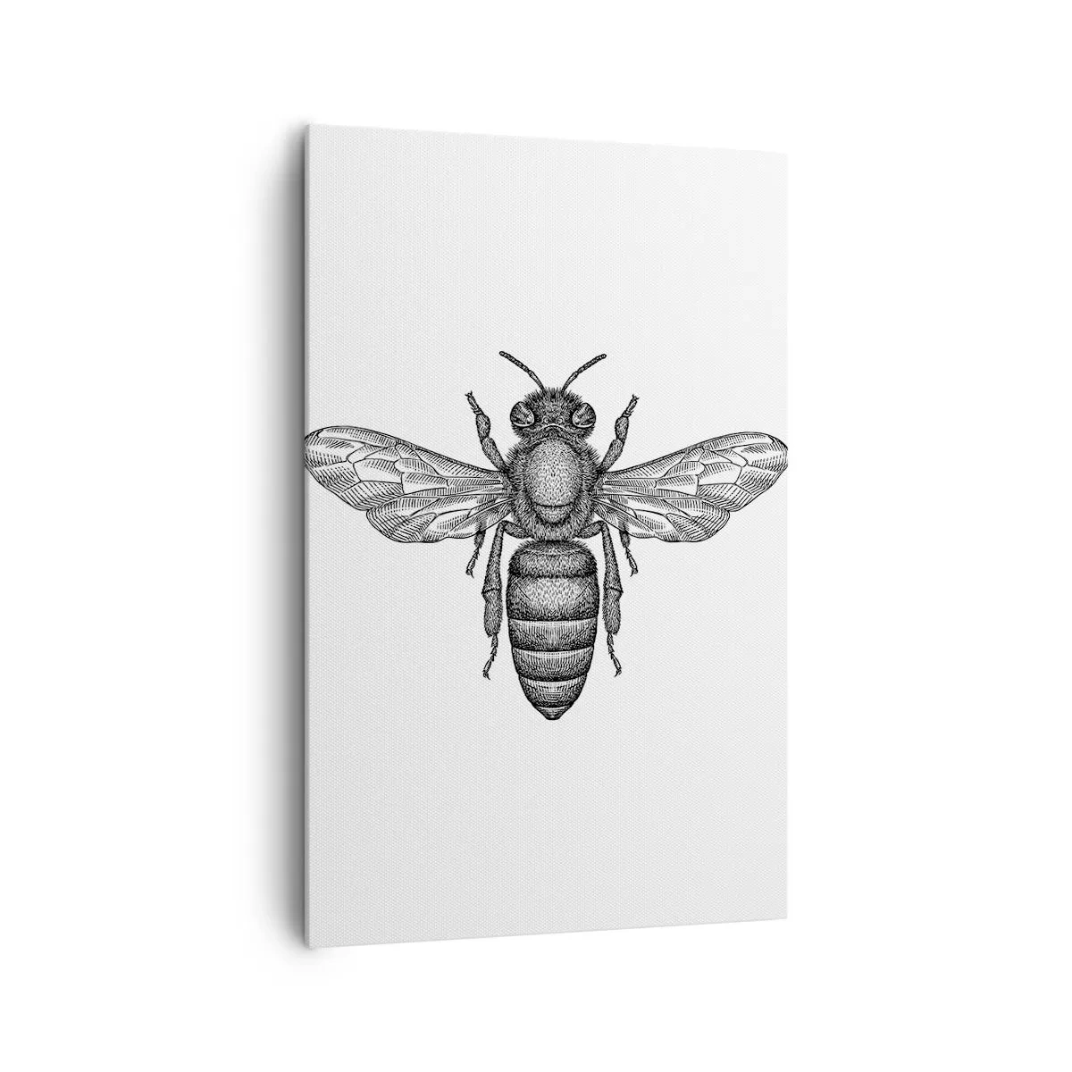 Canvastavla - Bild på duk - Porträtt av en insekt - 80x120 cm