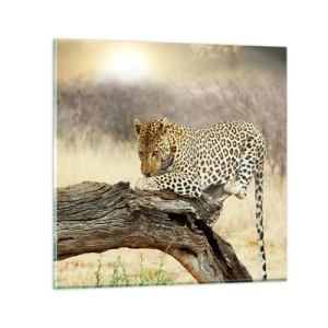 Glastavla - Bild på glas - Jag går min egen väg - 60x60 cm