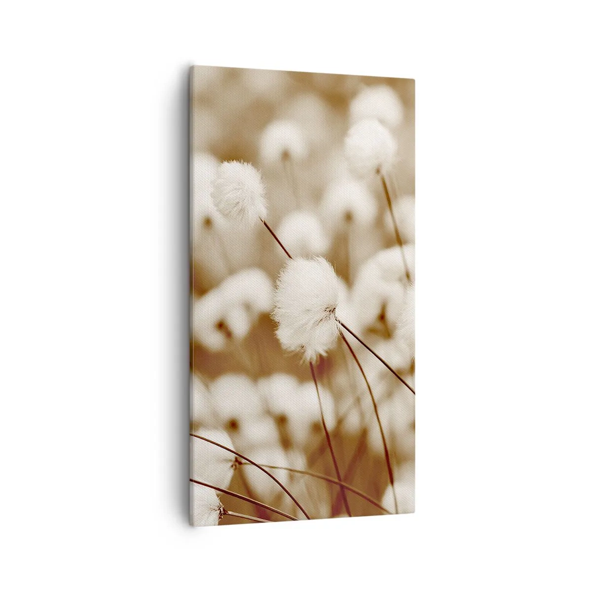 Canvastavla - Bild på duk - Fluffig åkermark - 55x100 cm