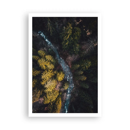 Affisch - Snabbt, allt snabbare - 70x100 cm