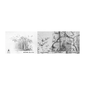 Provbit av fototapet Premium Sand - Björkskogens ljus - Skog, Björk, Träd - 100x30 cm