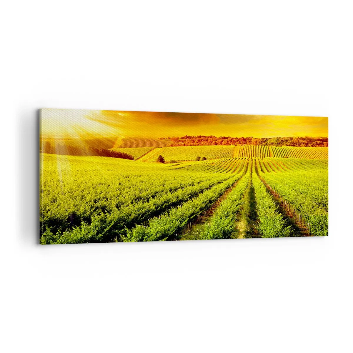 Canvastavla - Bild på duk - Under australiensiska solen - 100x40 cm
