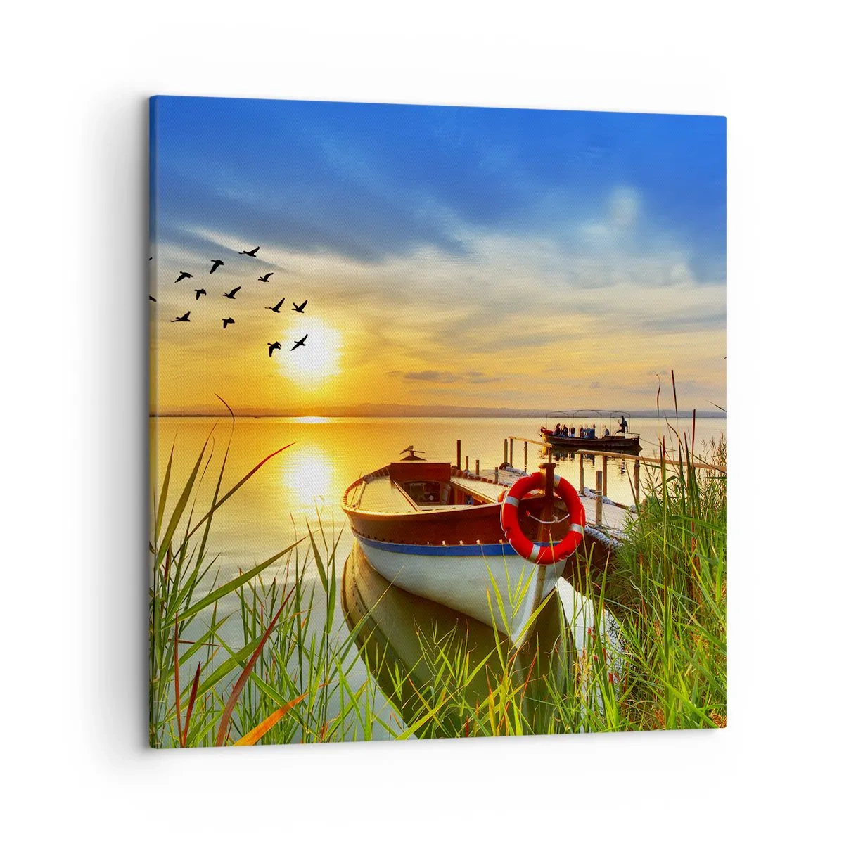 Canvastavla - Bild på duk - Storskarvarna drar iväg - 50x50 cm