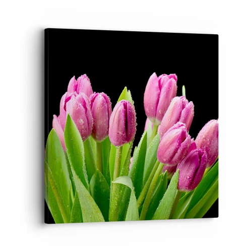 Canvastavla - Bild på duk - Vårens lila glädje - 30x30 cm