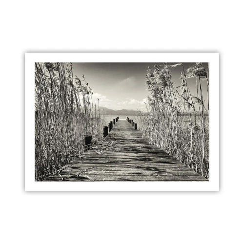 Affisch - I gräsets fristad - 70x50 cm