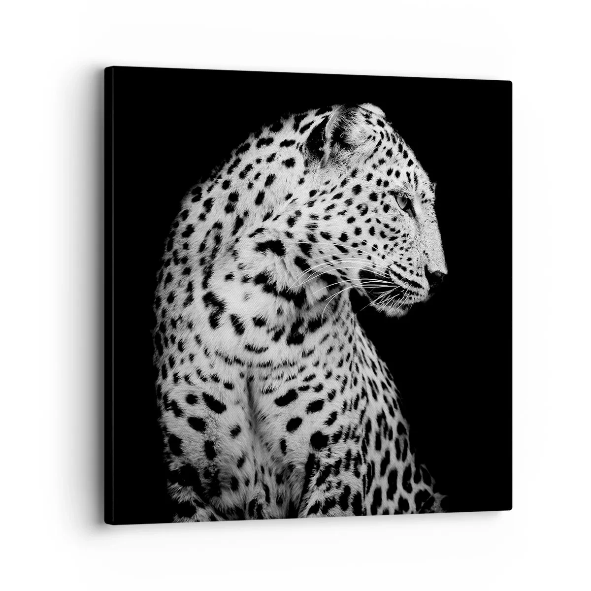 Canvastavla - Bild på duk - Perfekt höger profil! - 30x30 cm