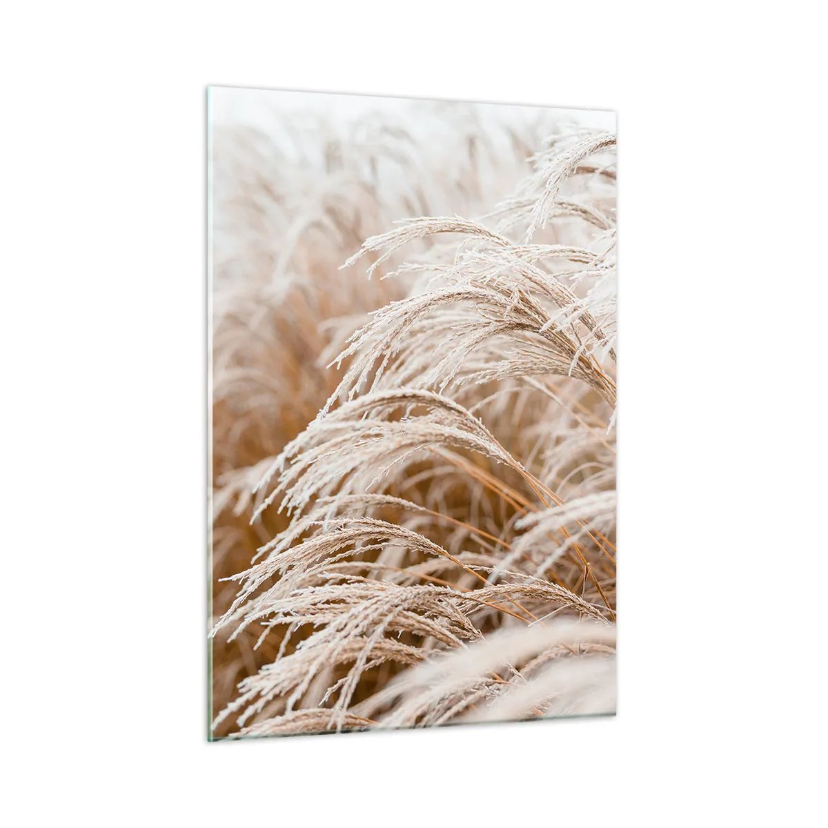 Glastavla - Bild på glas - Buga för höstsolen - 50x70 cm