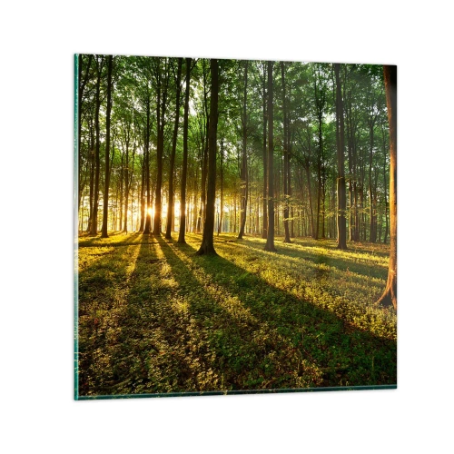 Glastavla - Bild på glas - Fotografi av alla vårar - 30x30 cm