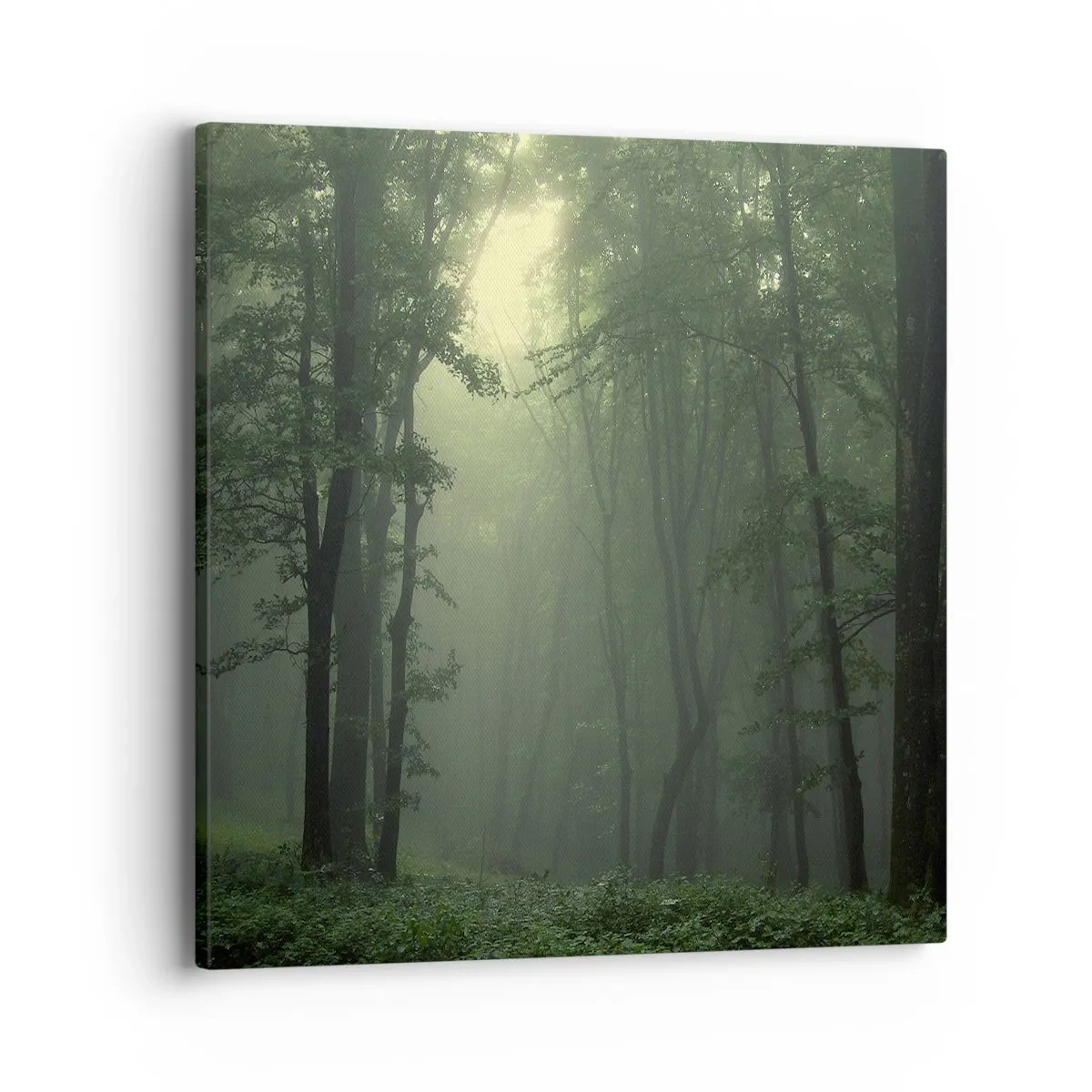 Canvastavla - Bild på duk - Innan skogen vaknar - 40x40 cm