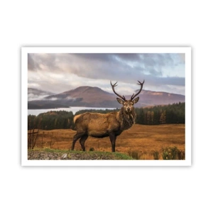 Affisch - Naturens majestät - 100x70 cm