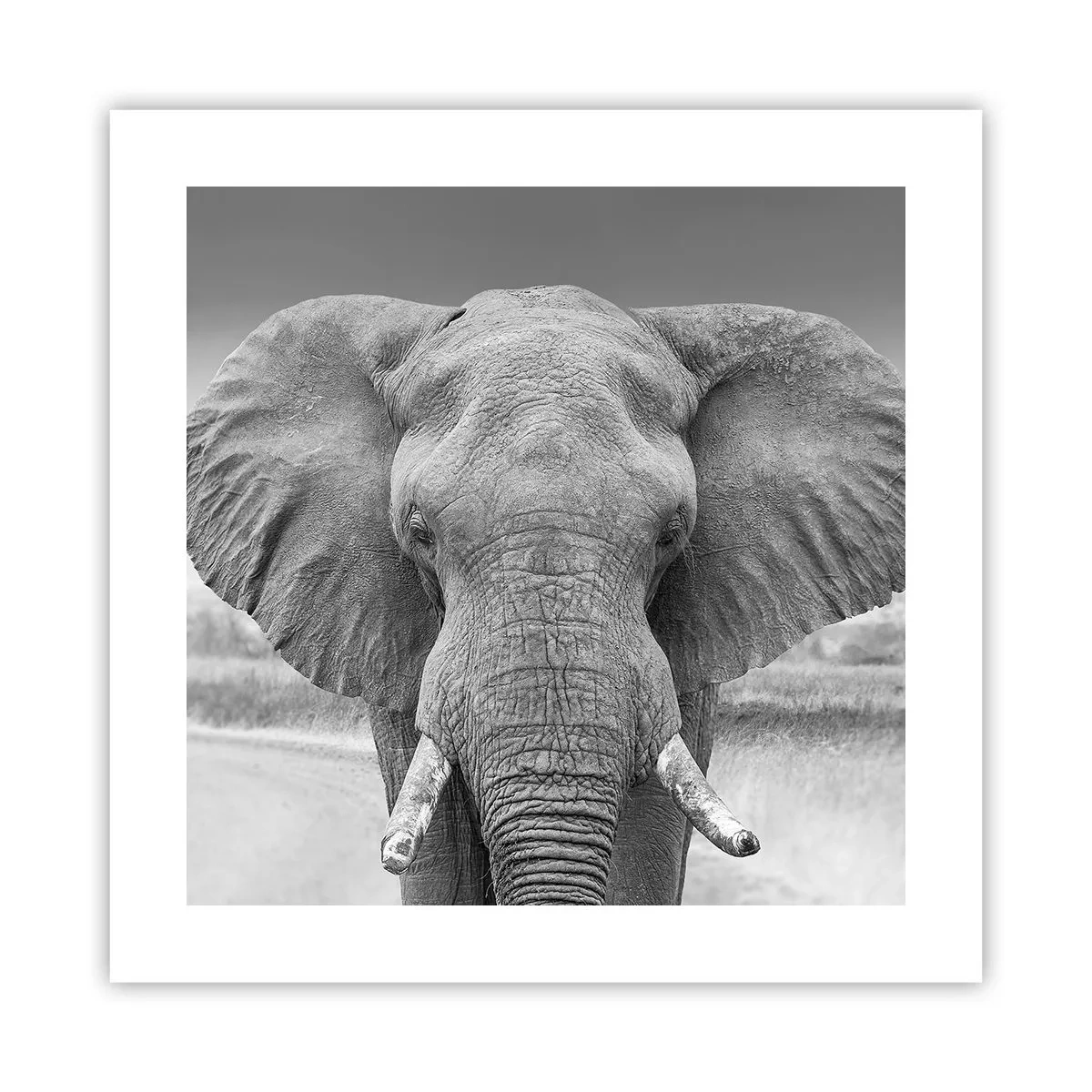 Affisch - Välkommen till min värld - 40x40 cm