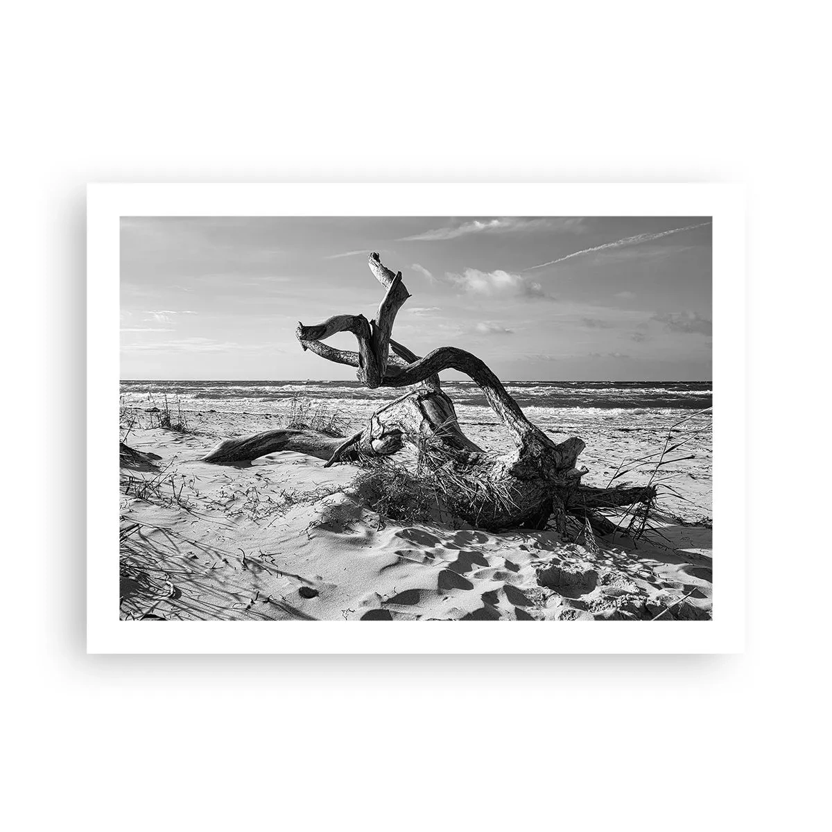 Affisch - Havets skulptur - 70x50 cm