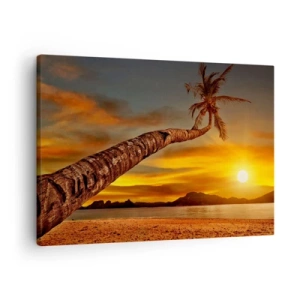 Canvastavla - Bild på duk - Palmträd på stranden vid solnedgången med utsikt över havet - 70x50cm - Exotisk semester, ett äventyr i Karibien - Modern väggdekoration för vardagsrum och sovrum ARTTOR