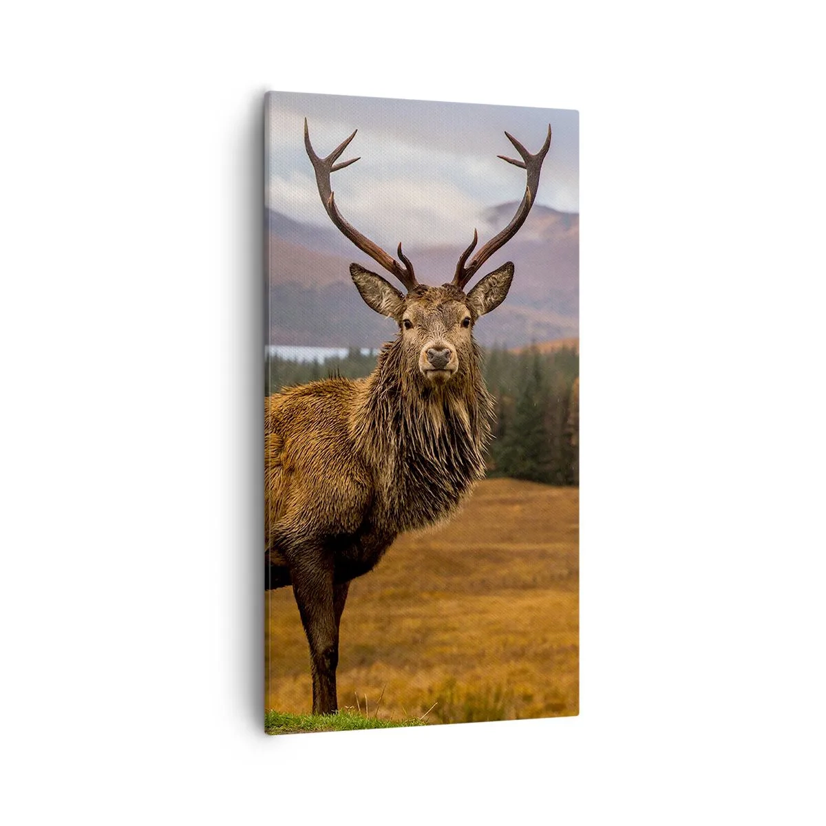 Canvastavla - Bild på duk - Naturens majestät - 55x100 cm