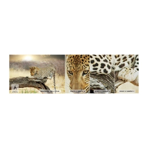 Provbit av fototapet Premium Canvas - Jag går min egen väg - Djur, leopard, Afrika - 100x30 cm