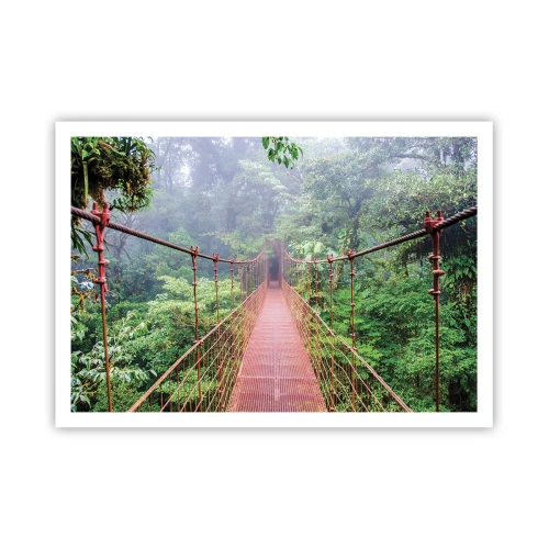 Affisch - Upphängd i trädkronorna - 100x70 cm