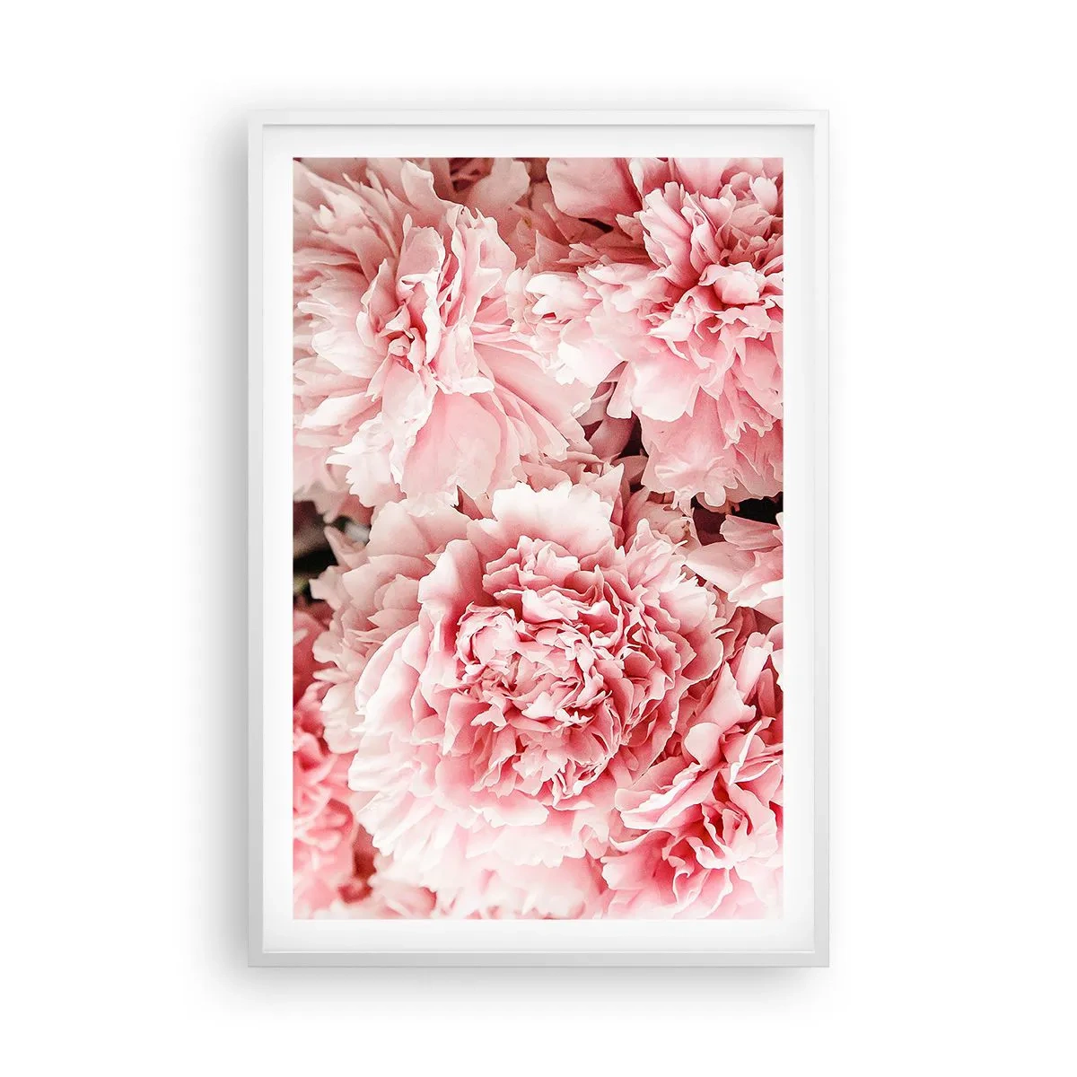 Affisch i vit ram - Rosa dröm - 61x91 cm