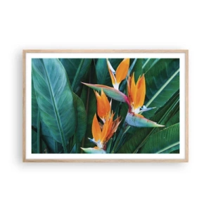 Affisch i ram av ljusek - Är det en blomma, eller en fågel? - 91x61 cm