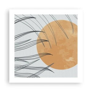 Affisch - Alltid mot solen - 50x50 cm