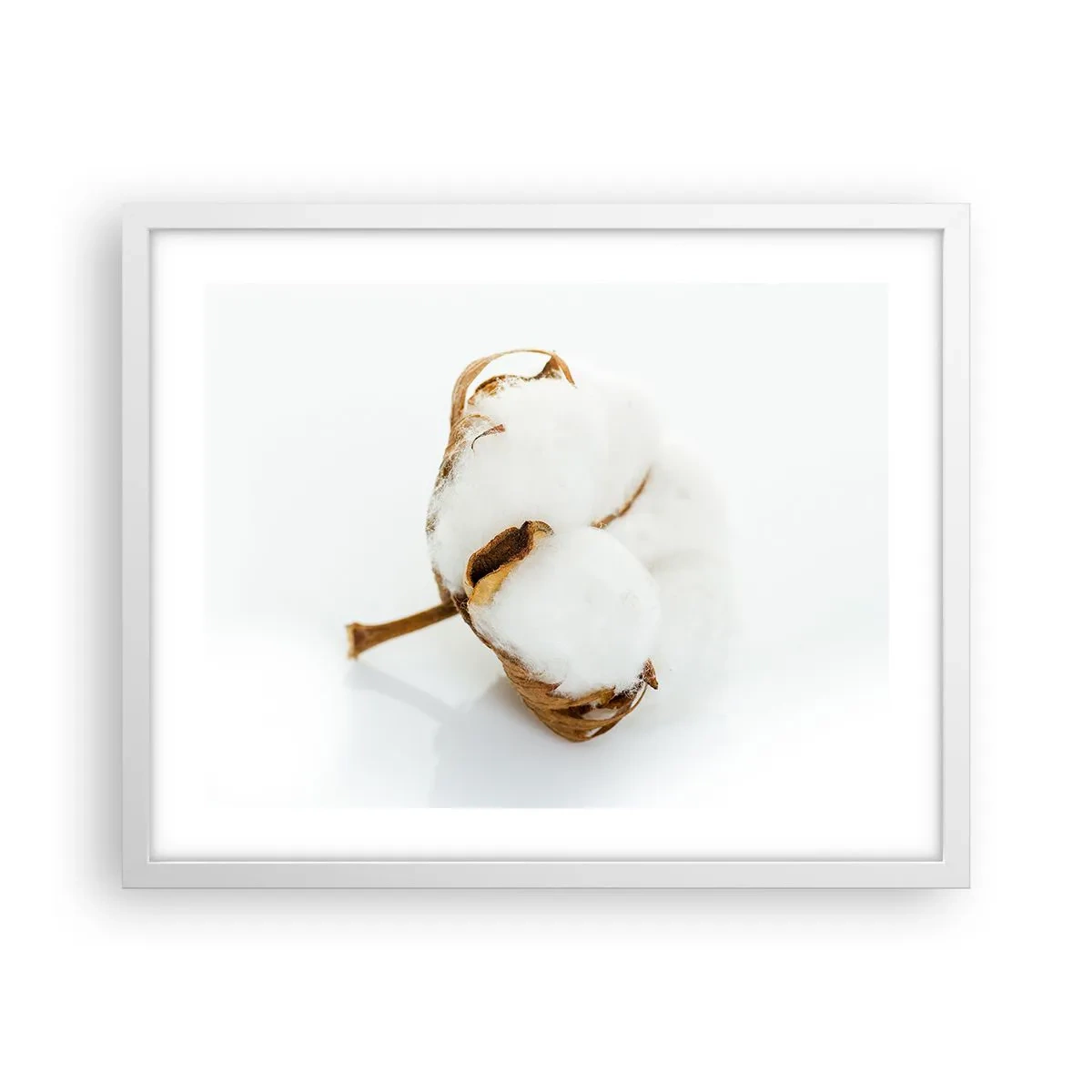 Affisch i vit ram - Mjuk av naturen - 50x40 cm