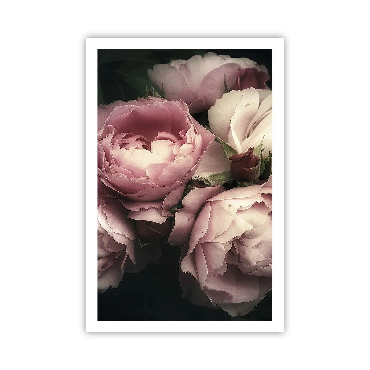 Affisch - Belle epoque charm - 61x91 cm