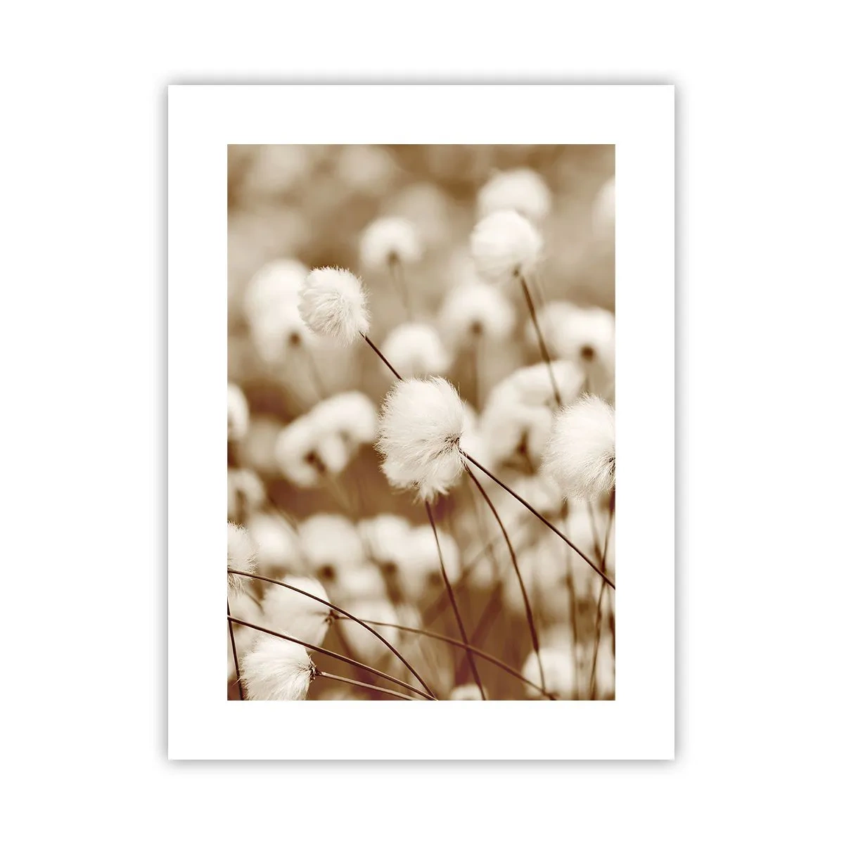 Affisch - Fluffig åkermark - 30x40 cm