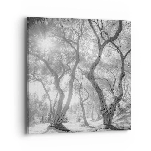 Canvastavla - Bild på duk - I en olivlund - 30x30 cm