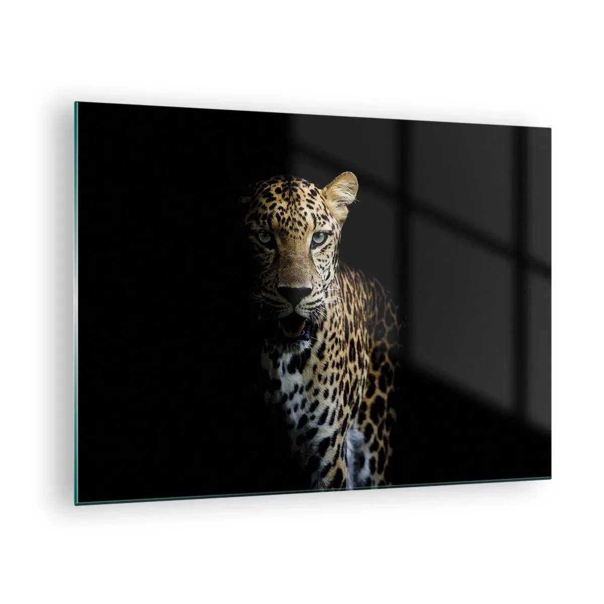 Glastavla - Bild på glas - Lejon i skuggan - 70x50cm - Mörk skönhet - Modern väggdekoration för vardagsrum och sovrum ARTTOR