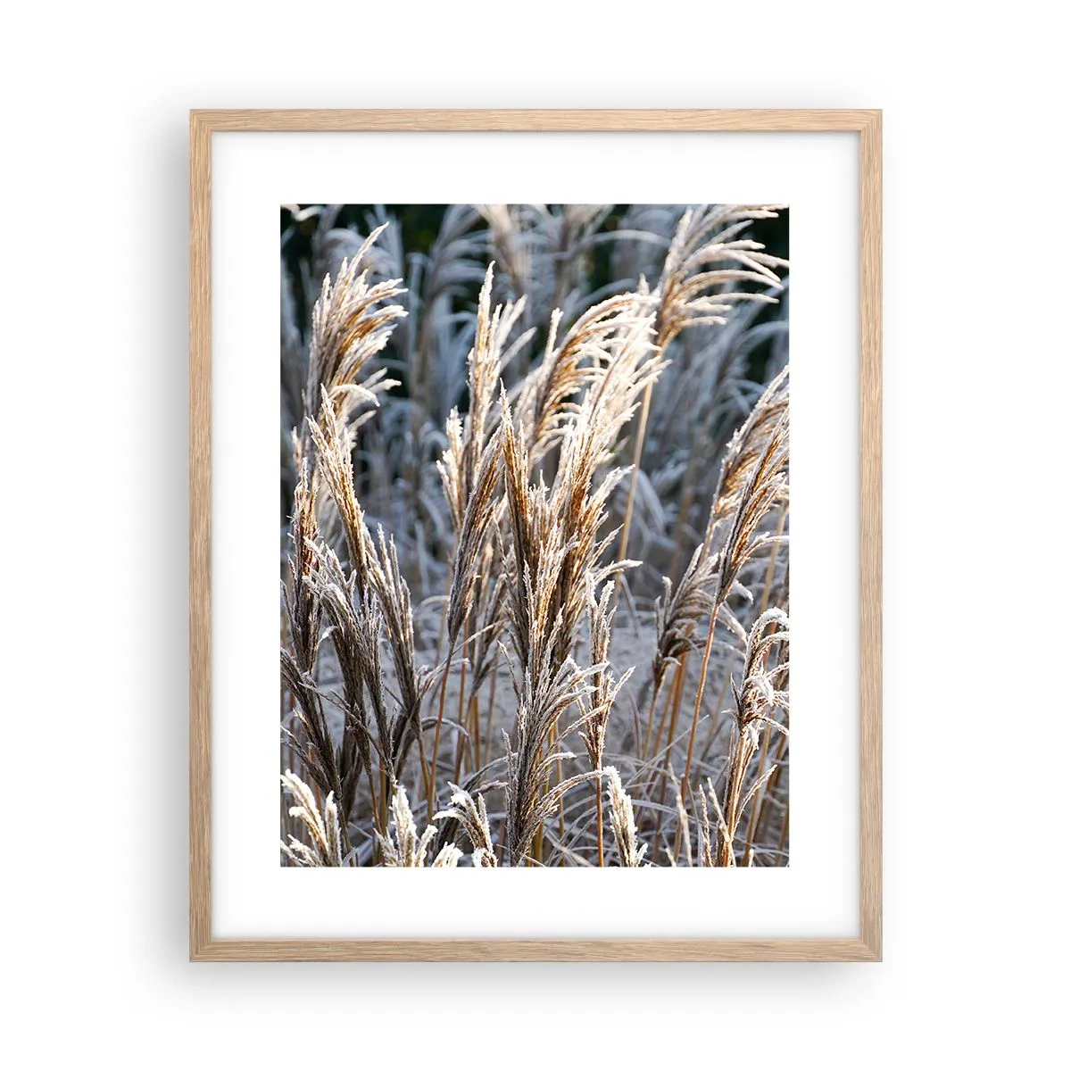 Affisch i ram av ljusek - Frostprydda - 40x50 cm
