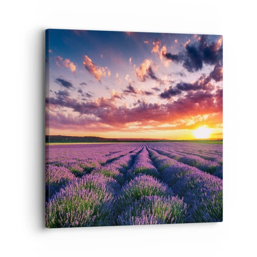Canvastavla - Bild på duk - Lavandelvärld - 30x30 cm