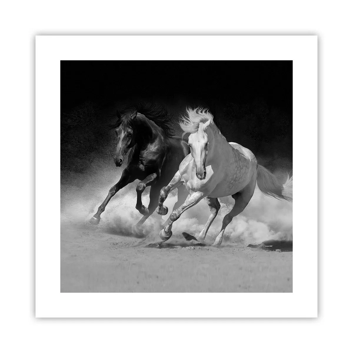 Affisch - Frihetens galopp - 40x40 cm