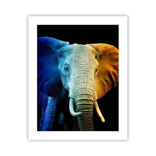 Affisch - Excentriker, ej kuf - 40x50 cm