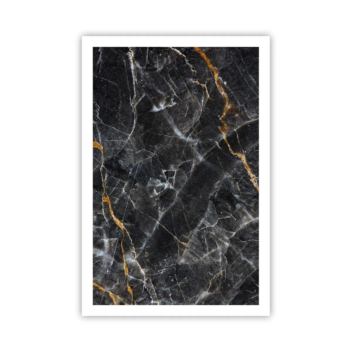 Affisch - Stenens interna liv - 61x91 cm