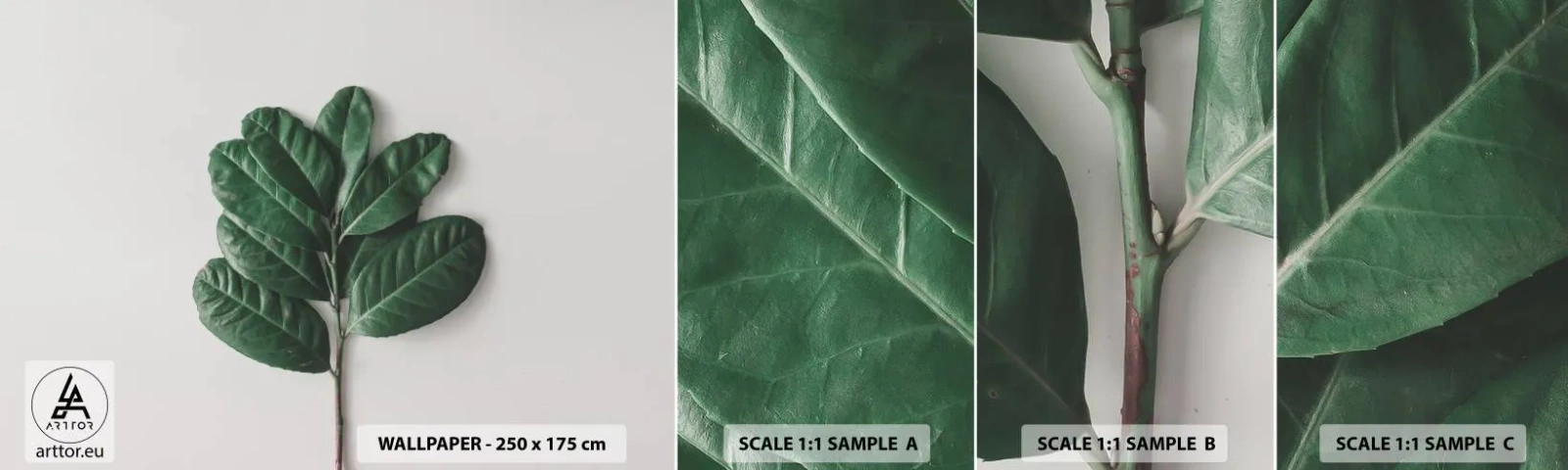 Fototapet Prov Standard Eco - Själva naturens bild - Löv, Växt, Natur - 100x30 cm