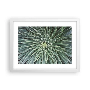 Affisch i vit ram - Stjärna föds - 40x30 cm