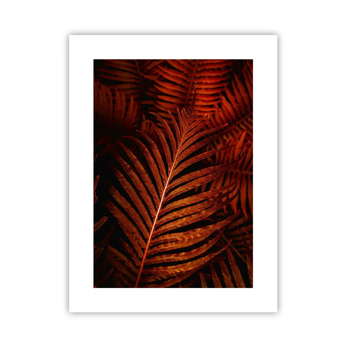 Affisch - Livets glöd - 30x40 cm