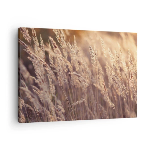 Canvastavla - Bild på duk - Gyllene gräs mot bakgrund av den nedgående solen - 70x50cm - Redo att välkomna hösten - Modern väggdekoration för vardagsrum och sovrum ARTTOR