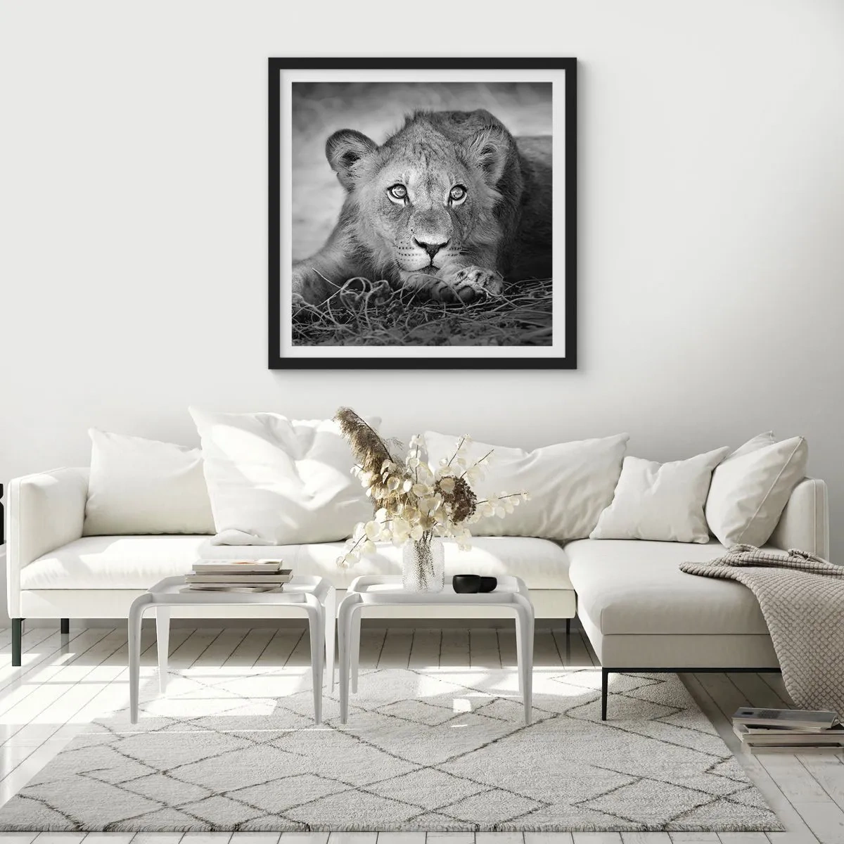 Affisch i svart ram - Kunglig valp - 60x60 cm