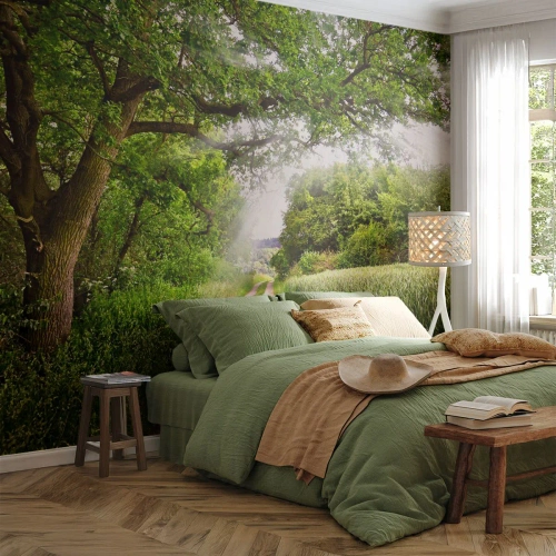 Självhäftande Fototapet Deluxe Sticker - Et in Arcadia ego - Landskap, Grusväg, Natur - 250x175 cm