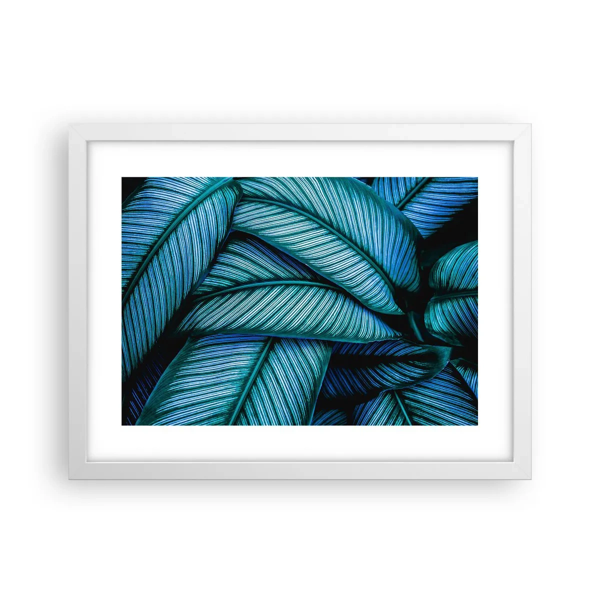 Affisch i vit ram - Livslinjer - 40x30 cm