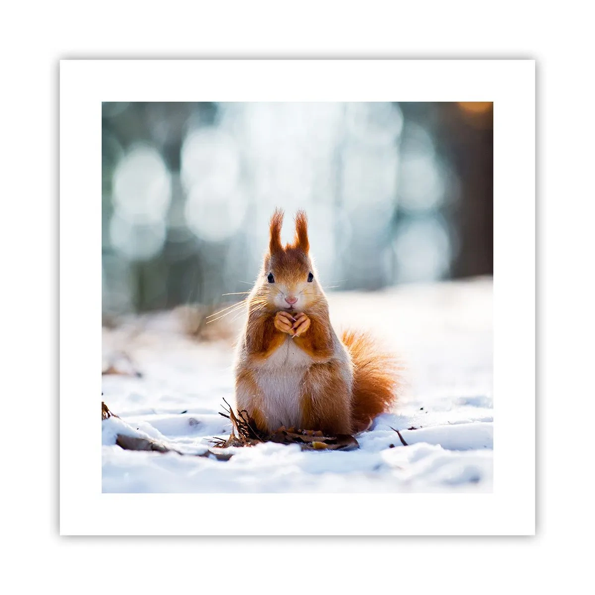 Affisch - Vad glor du på? - 40x40 cm