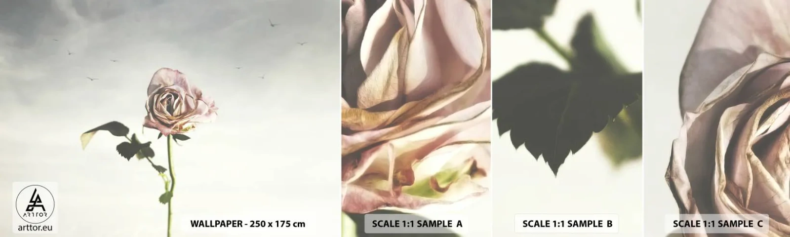 Provbit av självhäftande fototapet Deluxe Sticker - Vårens välkomst - Reste sig, Blomma, Bit - 100x30 cm