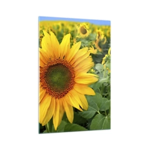 Glastavla - Bild på glas - Hundratals brinnande solar - 70x100 cm