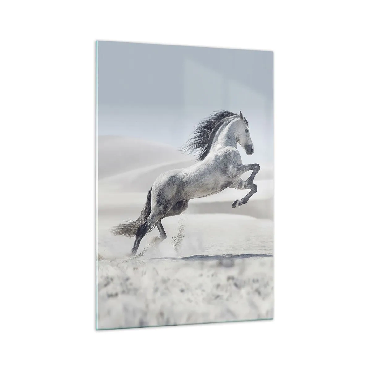 Glastavla - Bild på glas - Arabisk prins - 70x100 cm