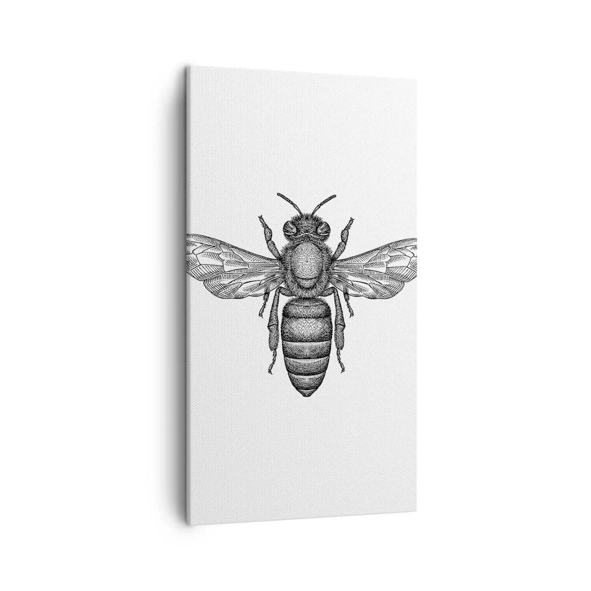 Canvastavla - Bild på duk - Porträtt av en insekt - 45x80 cm