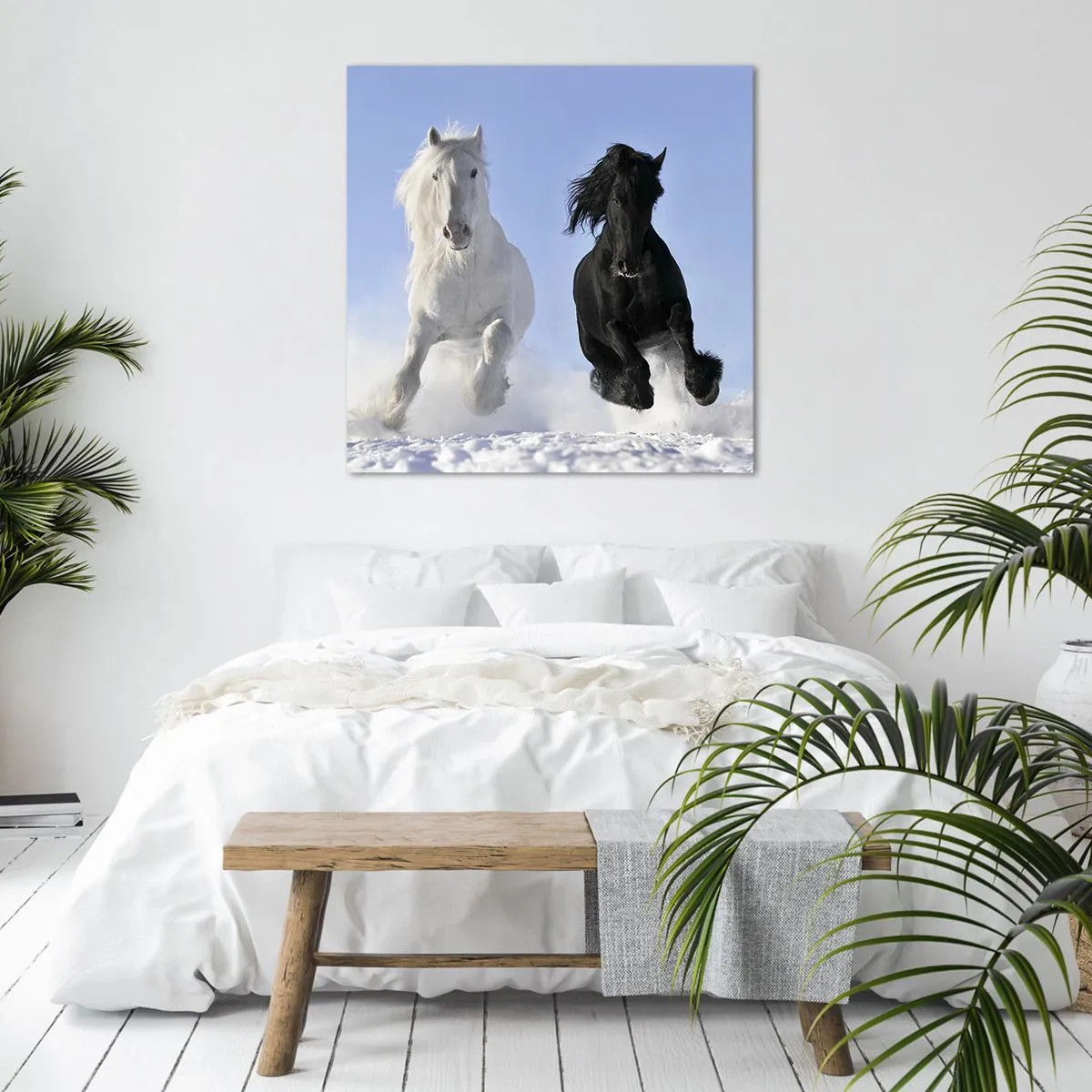 Canvastavla - Bild på duk - Svart-vit galopp - 70x70 cm