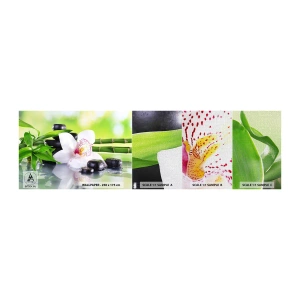 Provbit av fototapet Premium Canvas - Sval fräschhet - Bambu, Blomma, Orkide - 100x30 cm